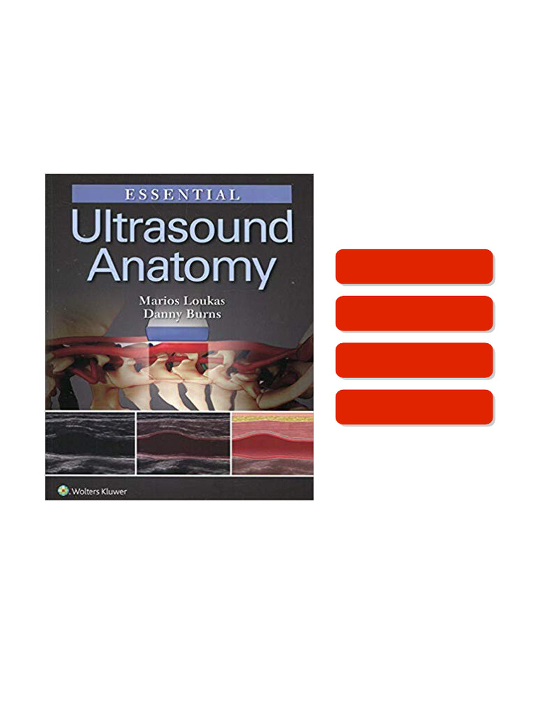 Essential Ultrasound Anatomy First Edition complete book | PDF | Atrium ...