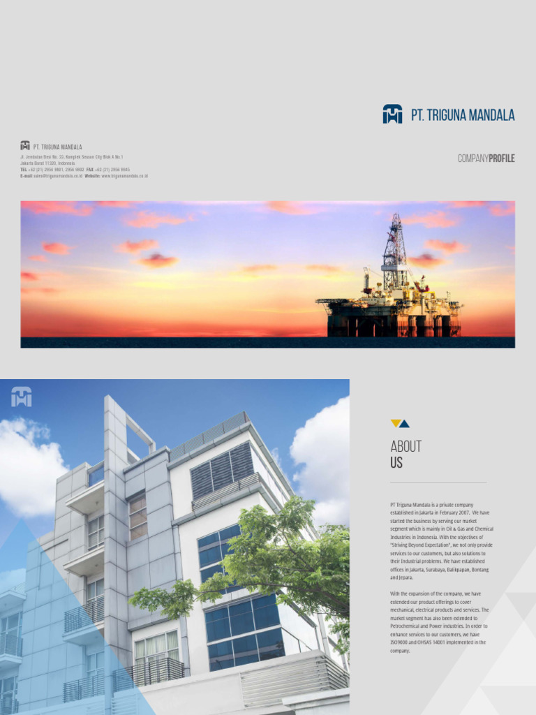 Company Profile Triguna 2023 (2) | PDF | Flow Measurement | Automation