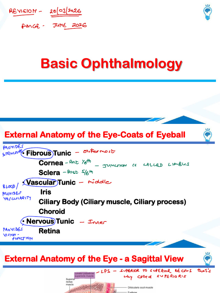 Basic Ophthalmology | PDF