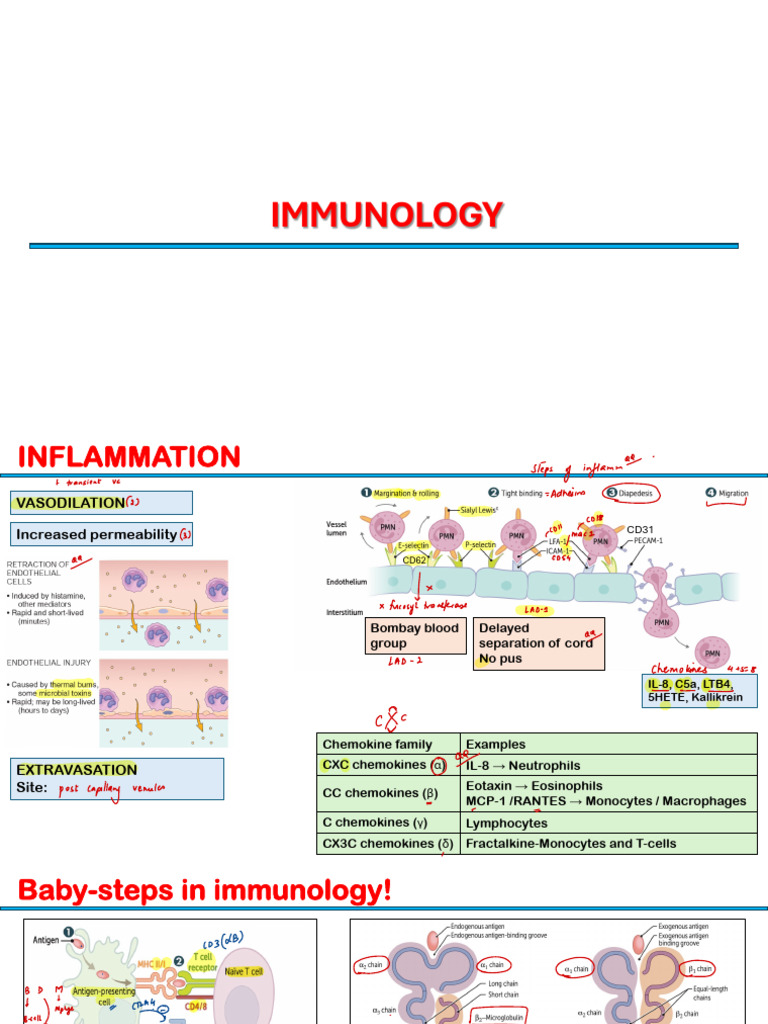 Immunology Annotated | PDF | Complement System | Chemokine