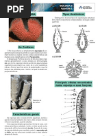AP. 2 Biologia 2 Demo