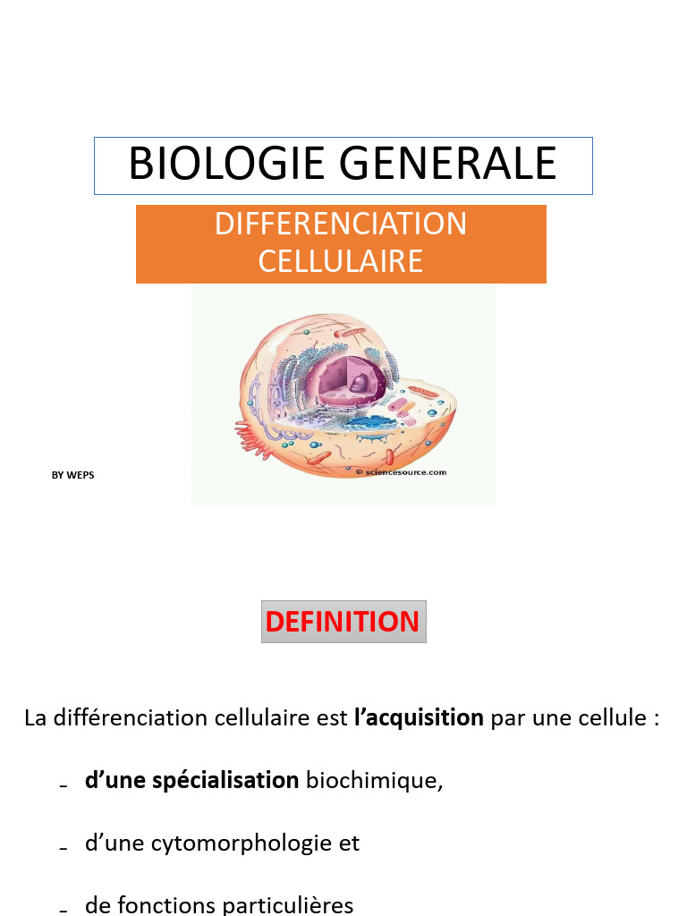 Biog 13 Differenciation Cellulaire | PDF | Différenciation cellulaire ...