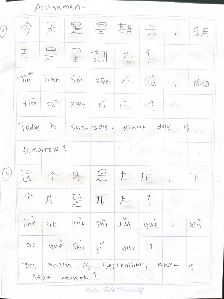 Mandarin Homework | PDF