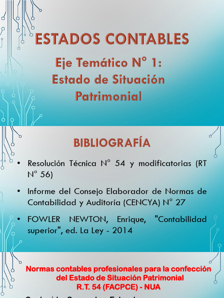 Presentación de Estado de Situación Patrimonial | PDF