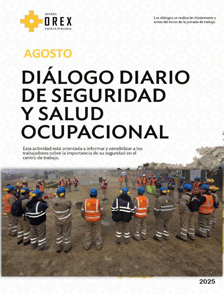 Dds Agosto 2025 | PDF | Seguridad y salud ocupacional | Tableta (Farmacia)