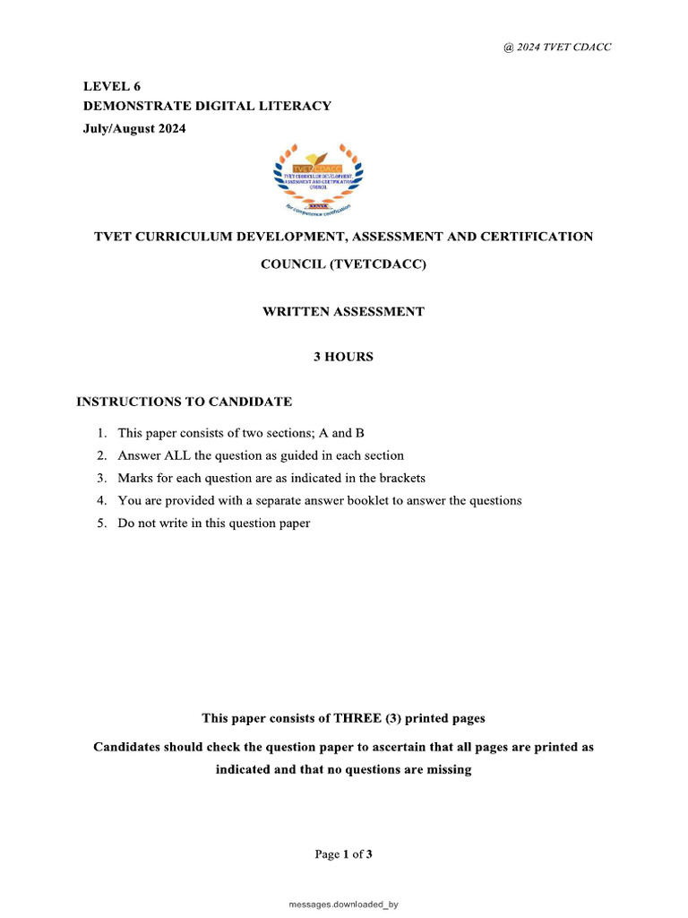 Digital Literacy pp1 - Past Paper | PDF