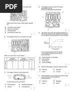 Companion Cells and Phloem Transport Mechanisms | PDF | Cell Membrane ...