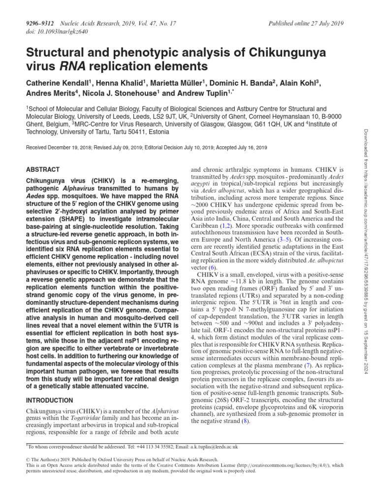 2019, Structural and Phenotypic Analysis of Chikungunya Virus RNA ...