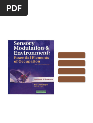 Sensory Modulation and Environment Essential Elements of