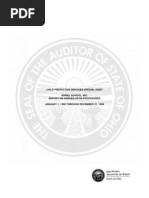 Petro Audit - Adriel School, Inc