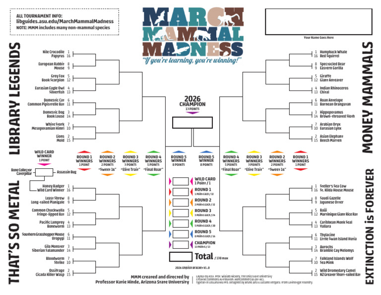 2026 MMM Bracket v1 0 - English | PDF | Zoology