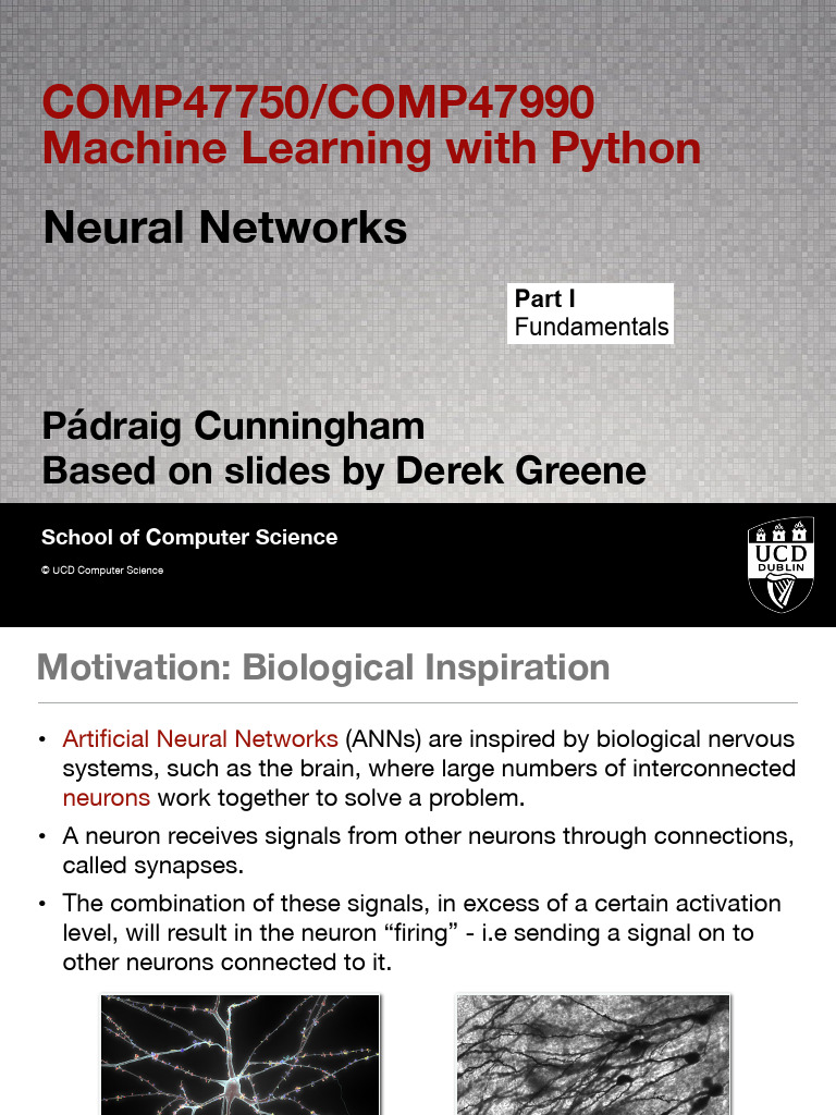 14 - Neural Networks | PDF | Machine Learning | Nervous System