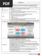 Classification de Kellgren et Lawrence | PDF | Arthrose | Système ...