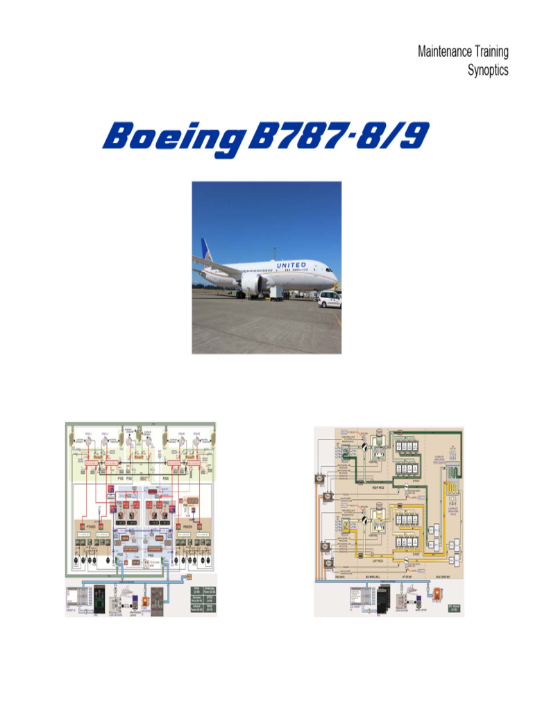 1 B787 Synoptics FEAM TT | PDF