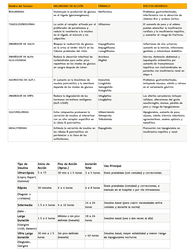 Antidiabeticos PDF 3.0 Omg Wtf en Plan Holly Sht | PDF | Insulina | Drogas
