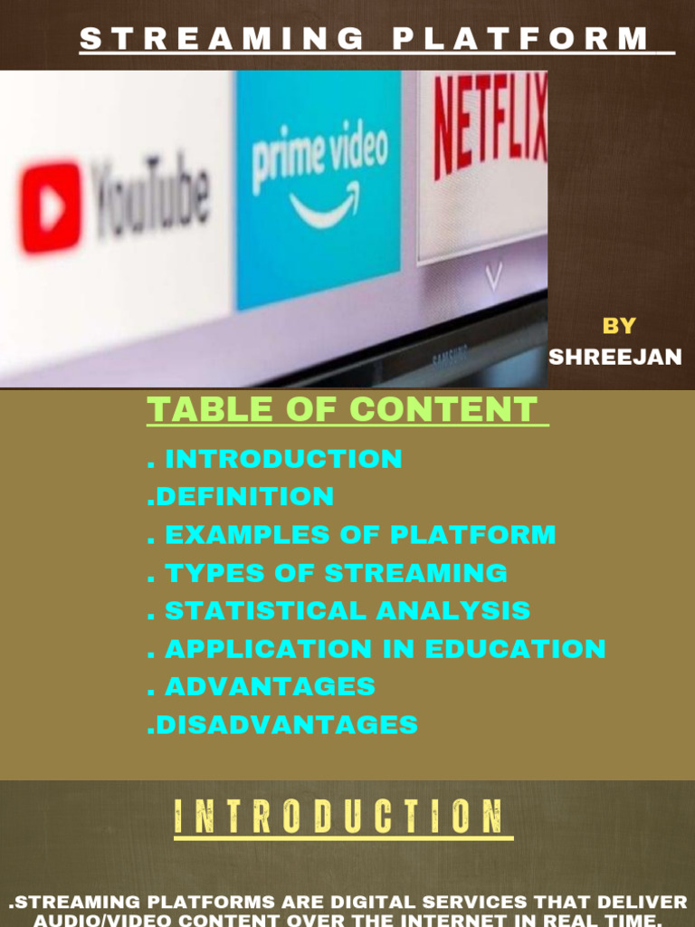 STREAMING PLATFORM S_20260402_154757_0000 | PDF