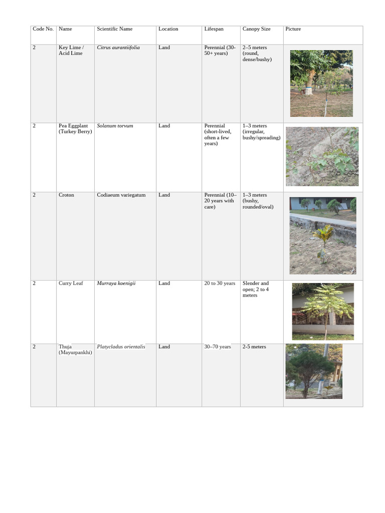Shrub Vegetation Map | PDF