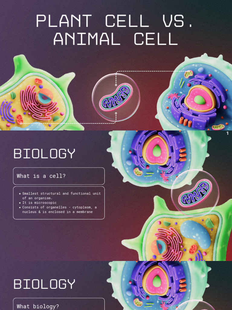 Grade 6 - Biology - Cells-2 | PDF | Cell (Biology) | Mitochondrion