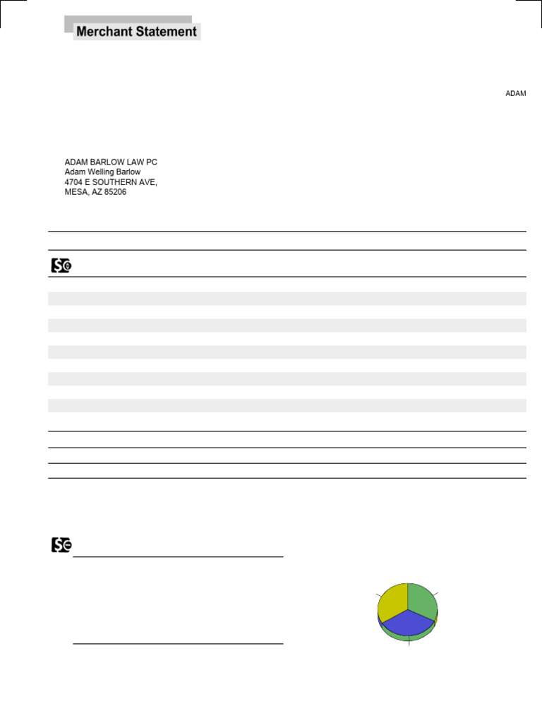 Merchant Statement | PDF | Visa Inc. | Retail Financial Services