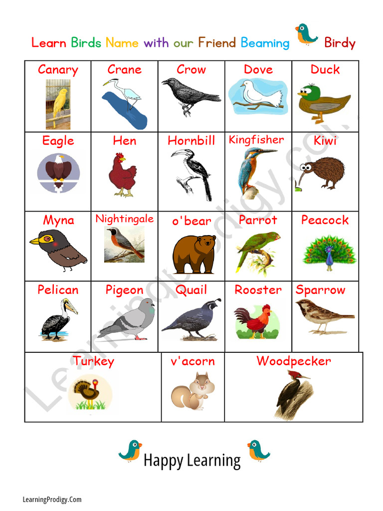 Birds Chart.pdf | PDF