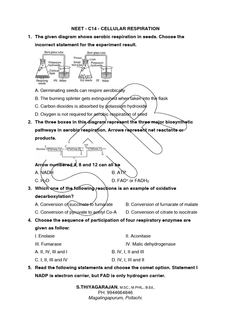 NEET Chapter 14 Cellular Respiration Question Paper With Answer Key ...