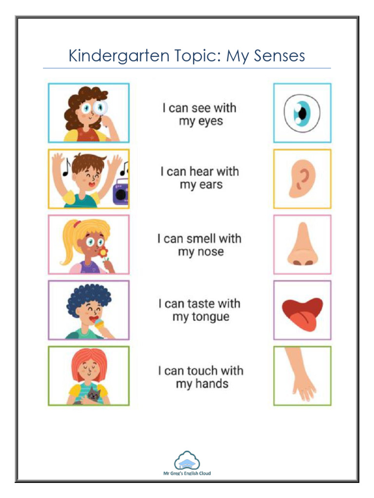 Senses Booklet | PDF