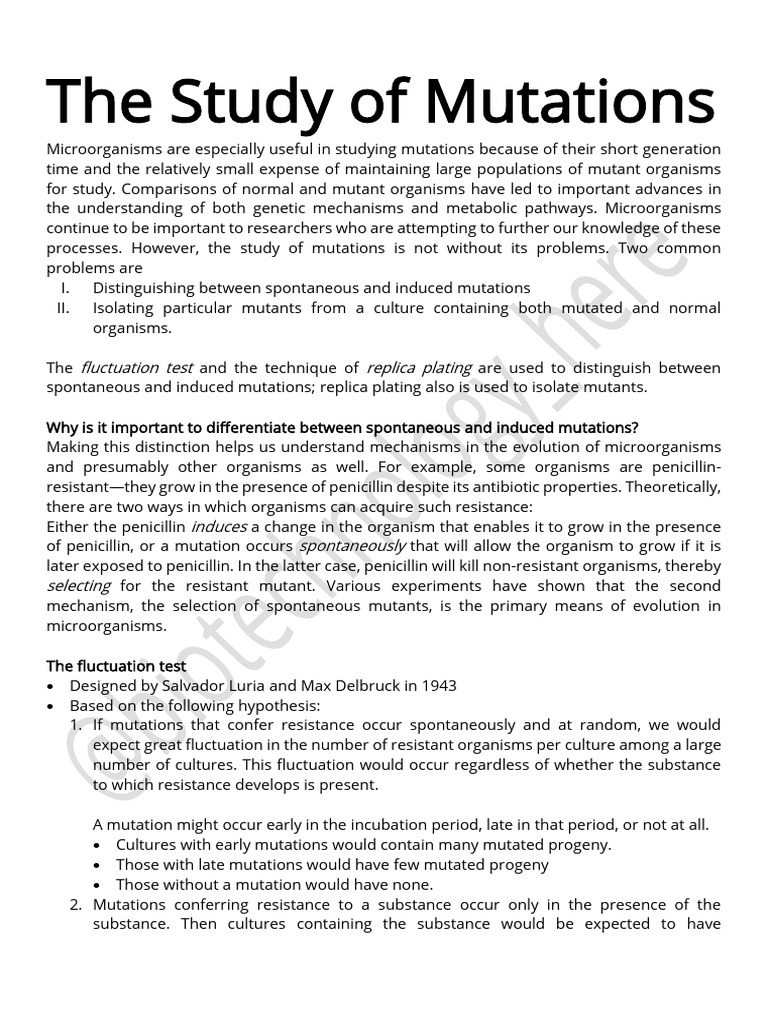 The Study of Mutations | PDF | Mutation | Mutagen