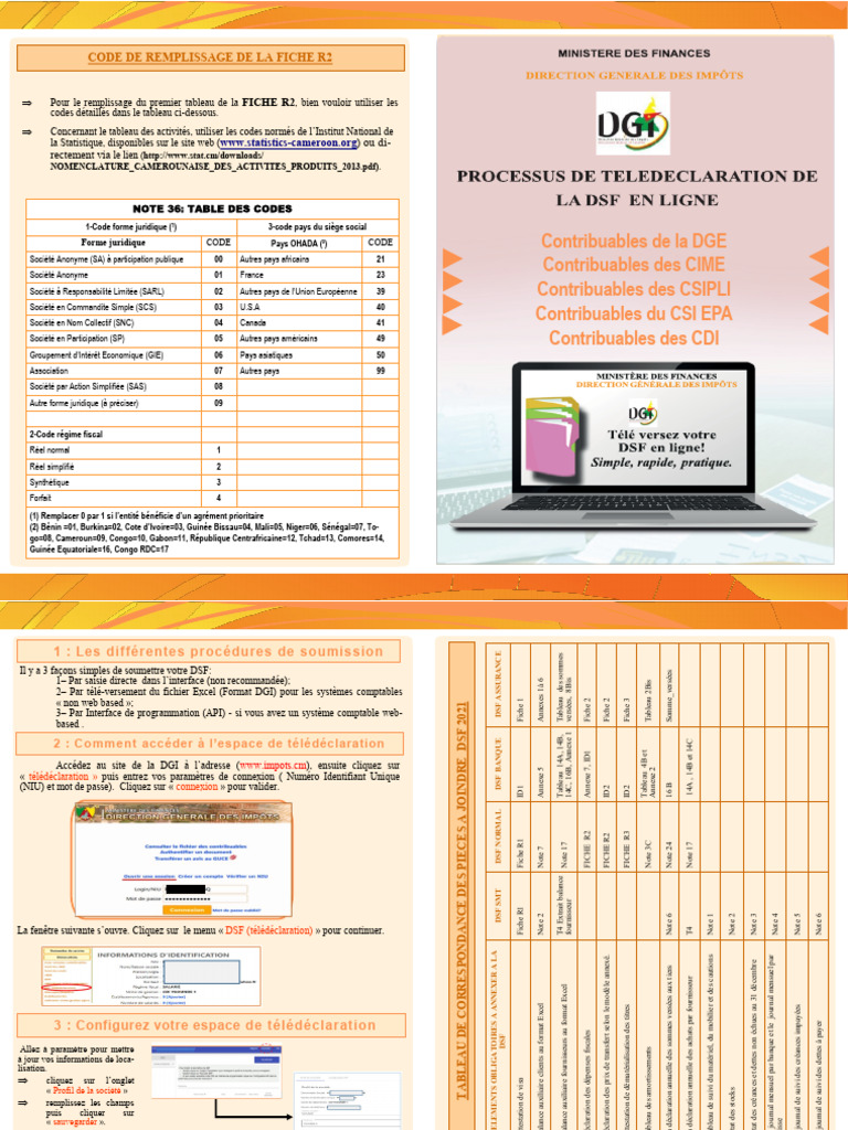 Tutoriel de Télédéclaration de La DSF | PDF