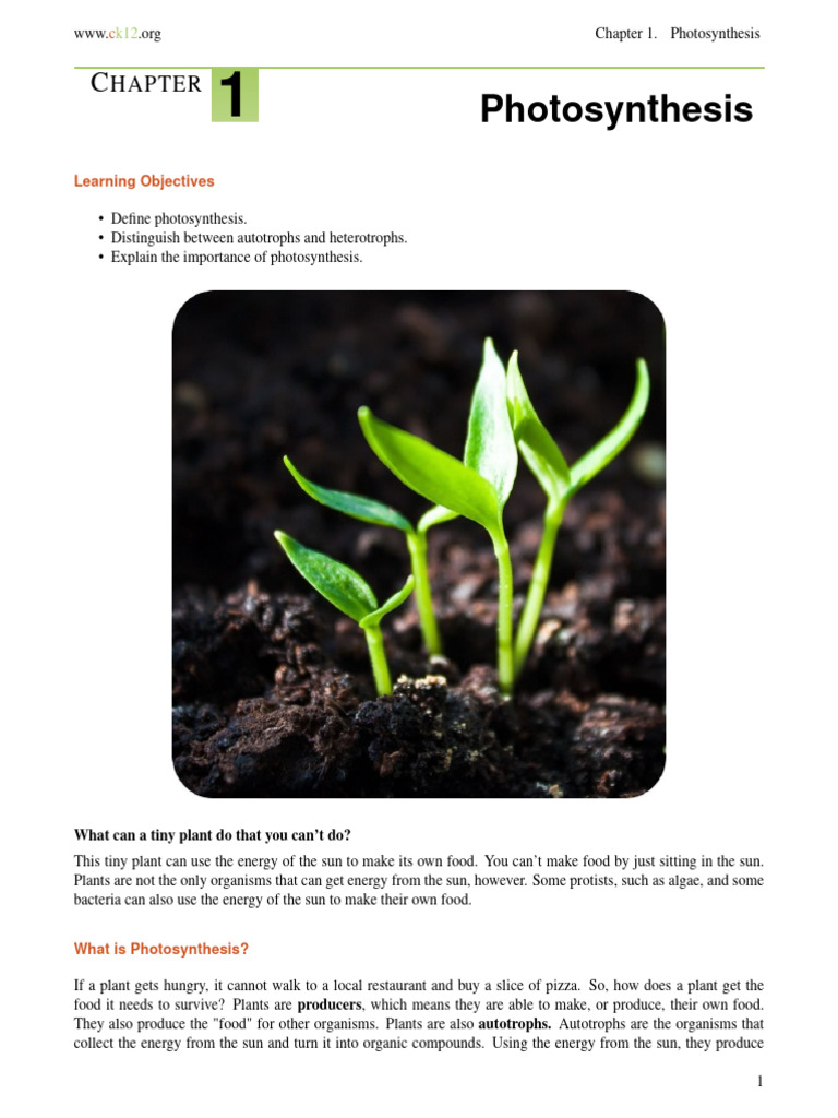Updated Photosynthesis l v2 Tzq s1 | PDF | Photosynthesis | Chloroplast