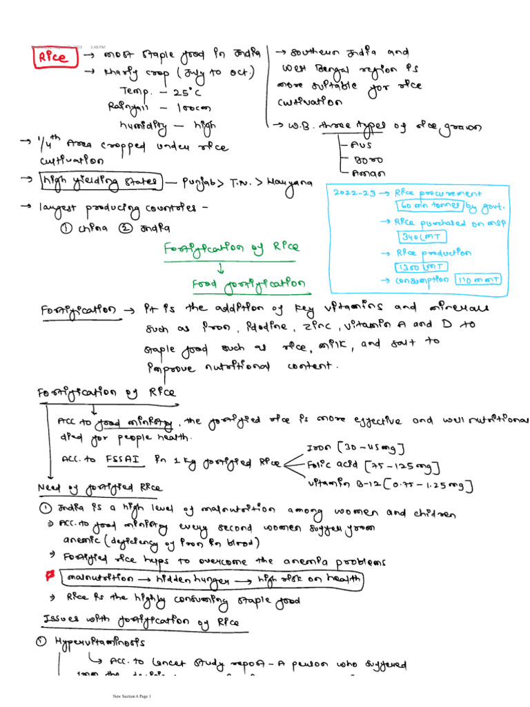Rice | PDF