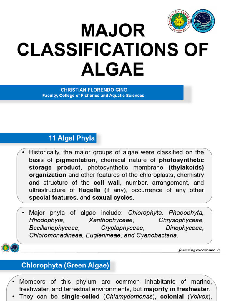 Lecture 4 Major Classifications of Algae CFG | PDF | Algae | Cyanobacteria