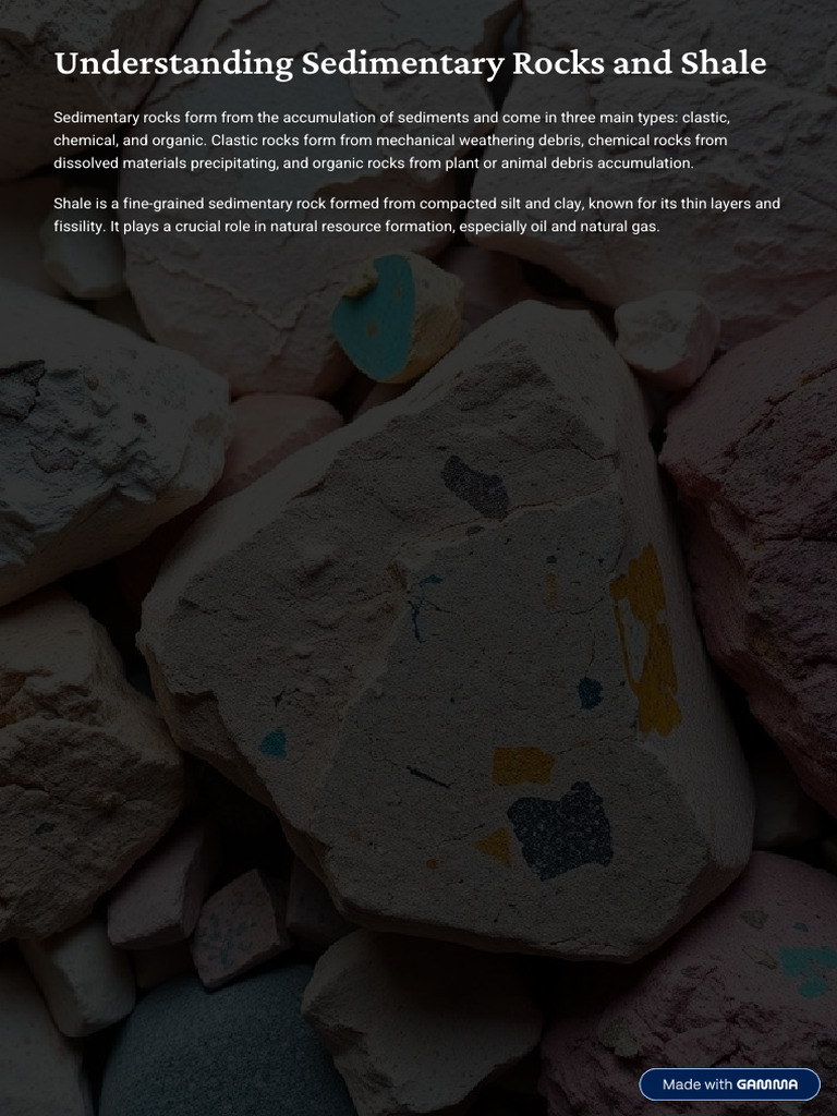 Understanding Sedimentary Rocks and Shale | PDF | Shale | Sedimentary Rock
