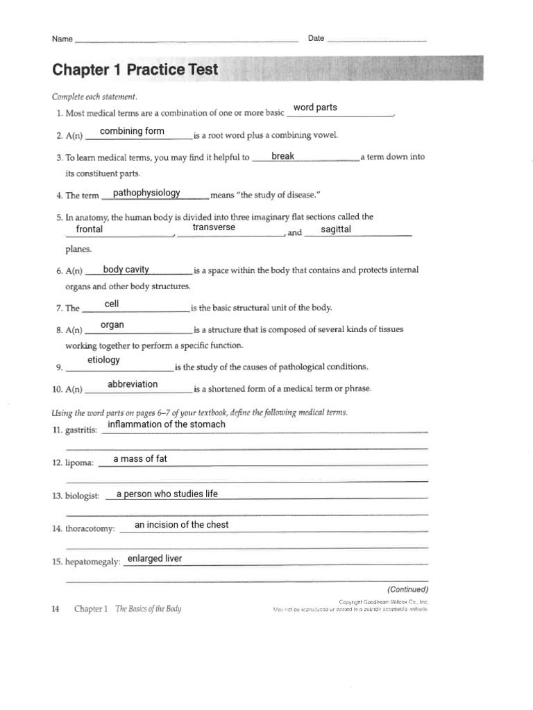 Kami Export - Sadie Hardin - Chapter 1 Practice Test Med Term | PDF