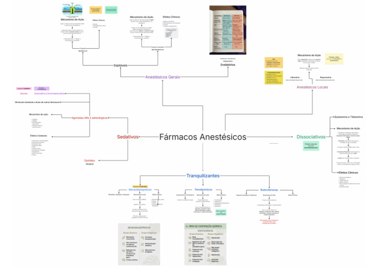 Mapa Mental - Fármacos Anestésicos | PDF