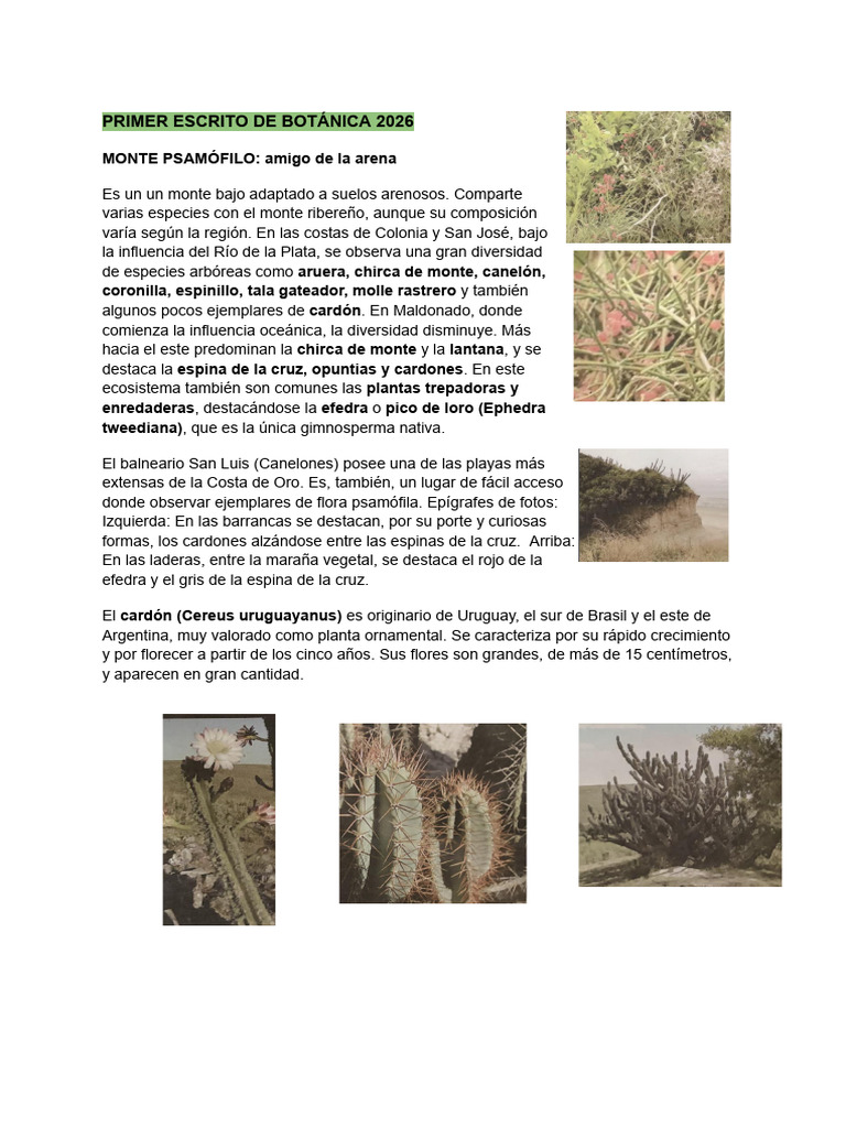 PRIMER ESCRITO DE BOTÁNICA 2026 | PDF | Flores | Clasificación biológica
