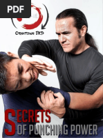 Download Secrets of Punching Power An Introduction to Power Mechanics by Mike Blesch SN102461981 doc pdf