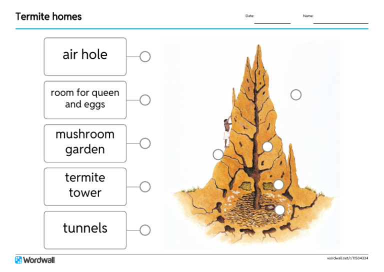 Termite Homes Labelled Diagram | PDF