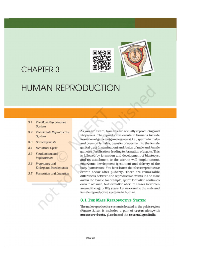 human reproduction | PDF