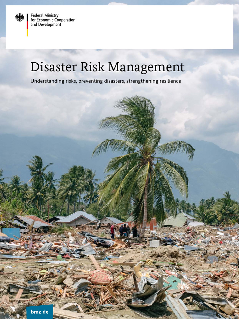 Disaster Risk Management | PDF | Cost Of Living | Natural Disasters