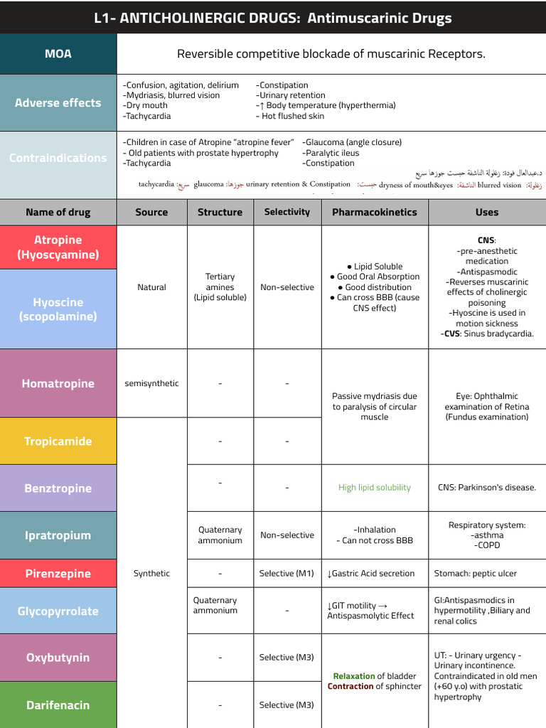 Pharmacology summary (Respiratory block) (2) | PDF | Asthma | Mucus