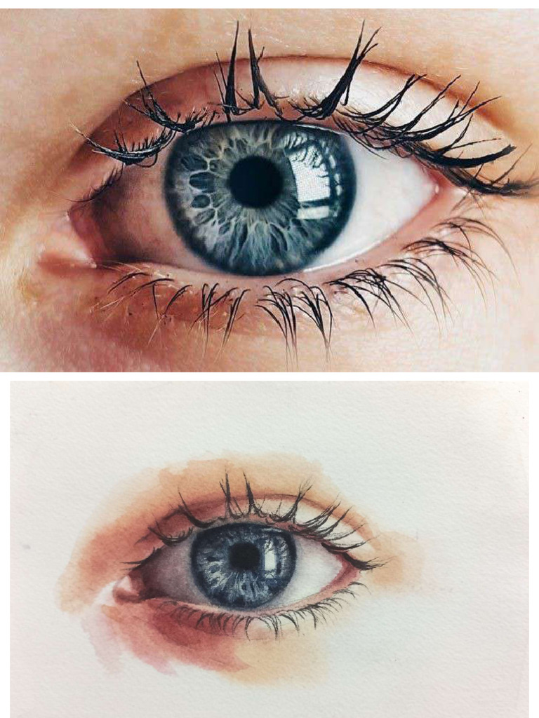 human eye | PDF