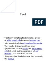 T Cell