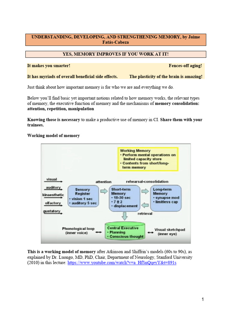 Manual Consecutive Interpretation | PDF | Memory | Cognitive Psychology