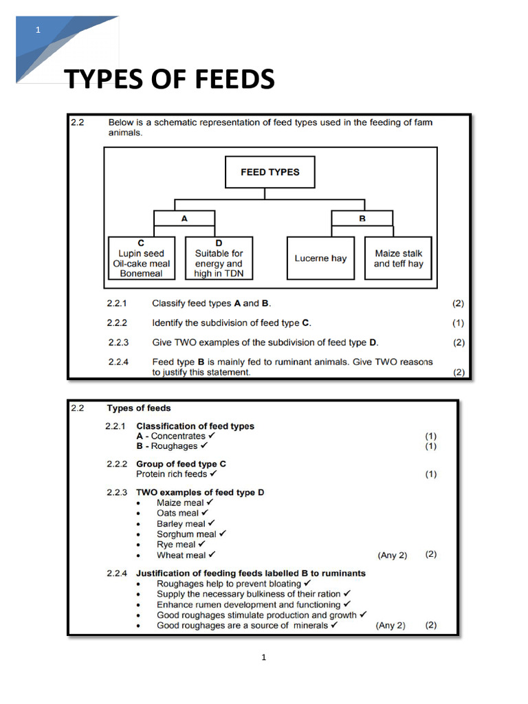 Types of Feeds | PDF