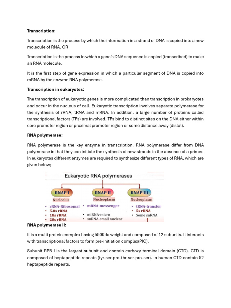 Transcription in Eukaryotes | PDF | Messenger Rna | Promoter (Genetics)