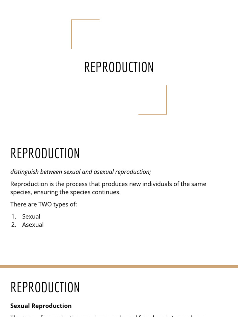 REPRODUCTION | PDF | Menstrual Cycle | Ovary