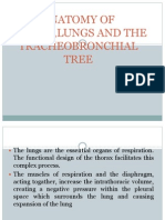 Anatomy of Pluera, Lungs and The Tracheobroncial Tree
