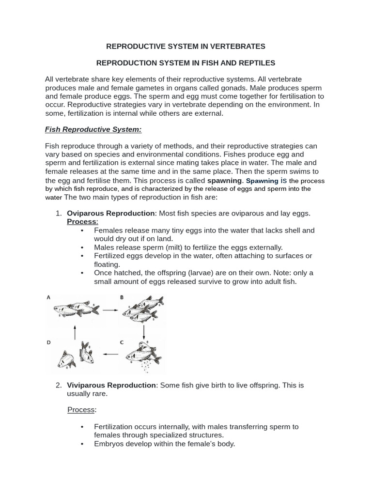 Ss2. Reproductive System in Fish and Reptiles | PDF | Reproductive ...
