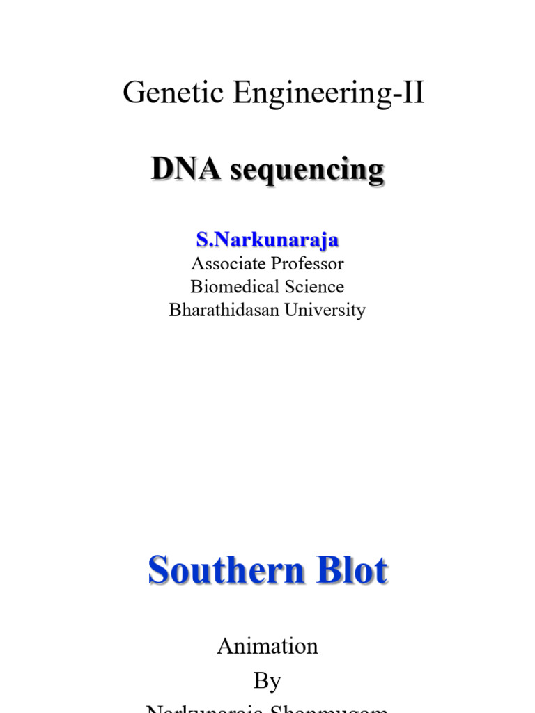 GE Class Notes DNA Sequencing | PDF | Gel Electrophoresis | Primer ...