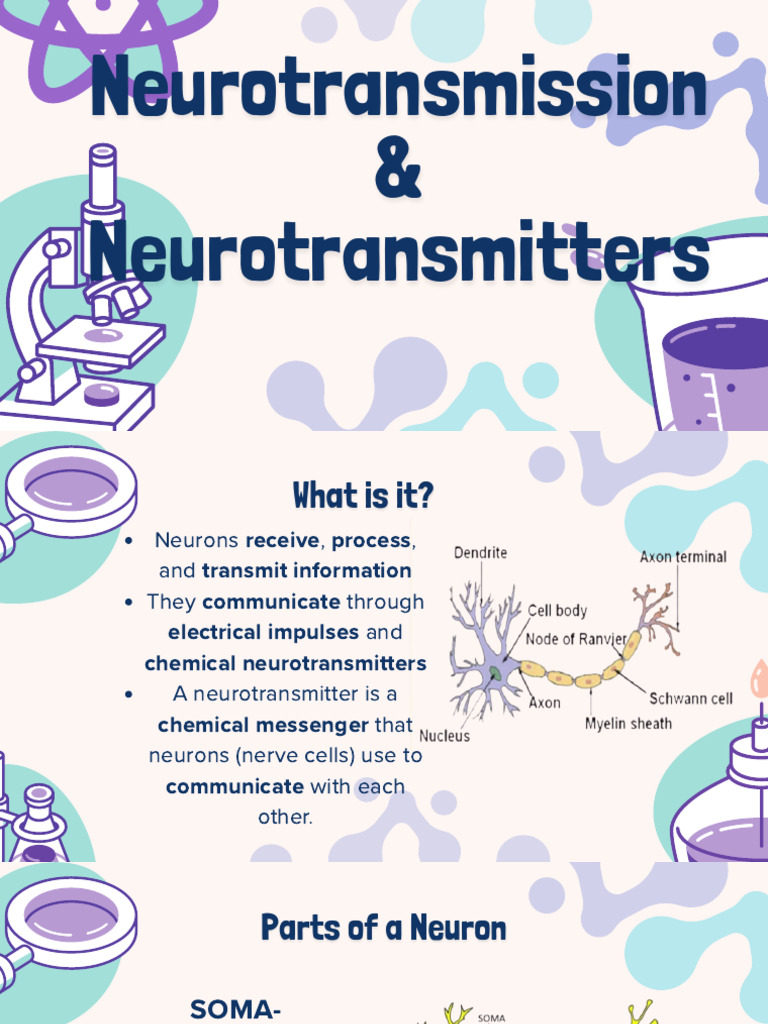 Neurotransmitter and Neurotransmission | PDF | Synapse | Chemical Synapse